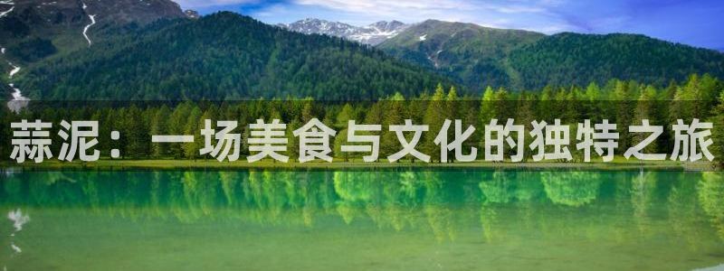奇亿娱乐平台注册：蒜泥：一场美食与文化的独特之旅