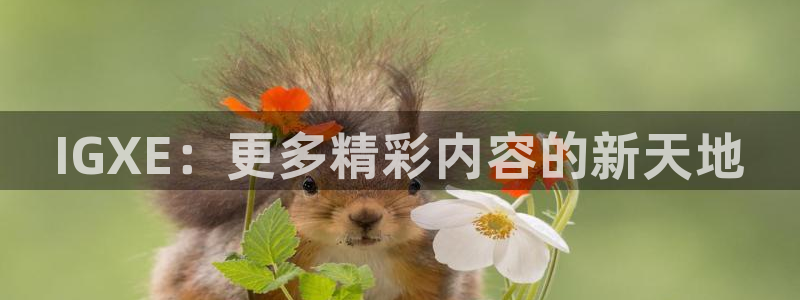 奇亿娱乐网址官网：IGXE：更多精彩内容的新天地