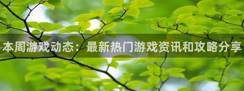 奇亿娱乐平台官方网站：本周游戏动态：最新热门游戏资讯和攻略分