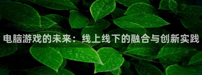 奇亿娱乐2登录：电脑游戏的未来：线上线下的融合与创新实践