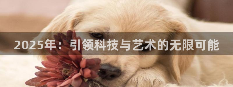 奇亿娱乐平台负责人：2025年：引领科技与艺术的无限可能