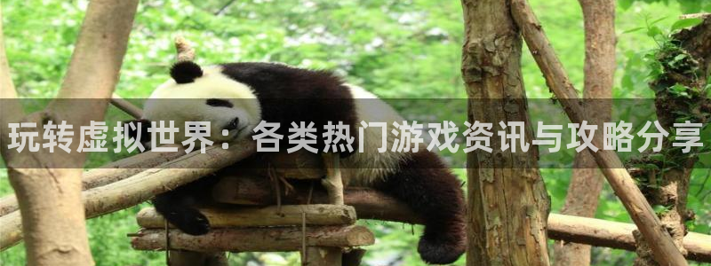 奇亿娱乐手机网页版登录：玩转虚拟世界：各类热门游戏资讯与攻略