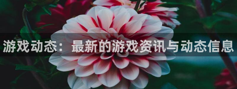 奇亿娱乐现在叫什么名字