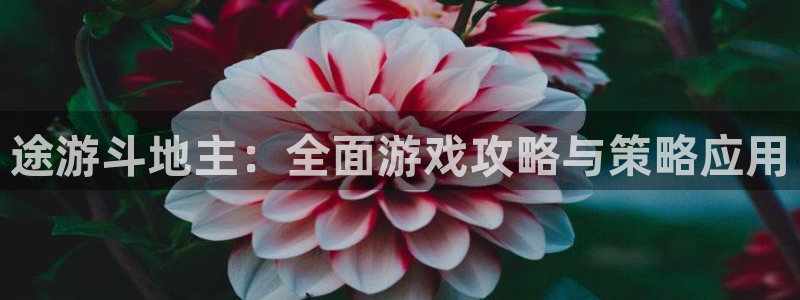 奇亿娱乐免费领取会员在哪
