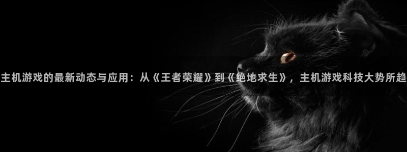 奇亿娱乐集团是干什么的啊