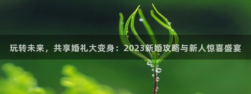 奇亿娱乐查封了吗知乎：玩转未来，共享婚礼大变身：2023新婚
