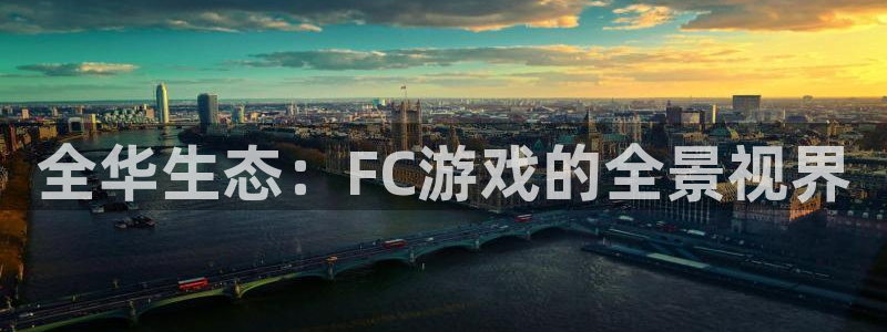 奇亿娱乐主管：全华生态：FC游戏的全景视界