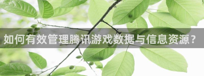 奇亿娱乐注册登录平台：如何有效管理腾讯游戏数据与信息资源？